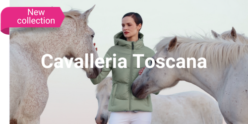 MEA3 Cavalleria New co EN